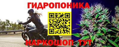винт Кулебаки