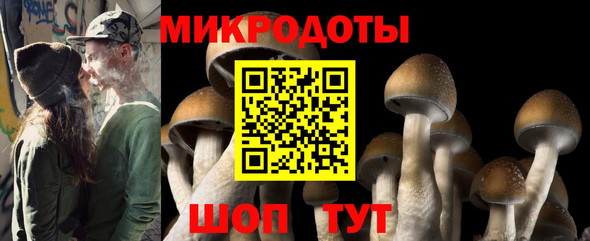 Галлюциногенные грибы Psilocybe  Галлюциногенные грибы мухоморы  Вход с VPN  Чайковский 
